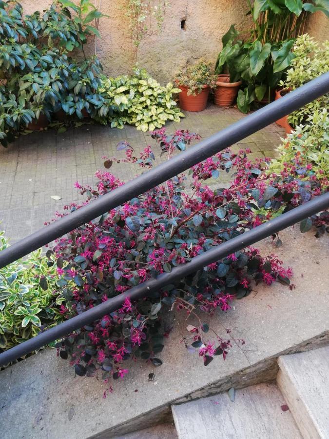 Tra Gianicolo E Trastevere Rom Exterior foto
