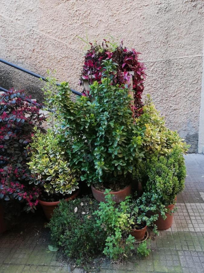 Tra Gianicolo E Trastevere Rom Exterior foto