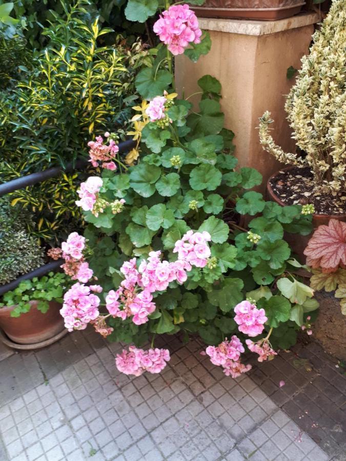 Tra Gianicolo E Trastevere Rom Exterior foto